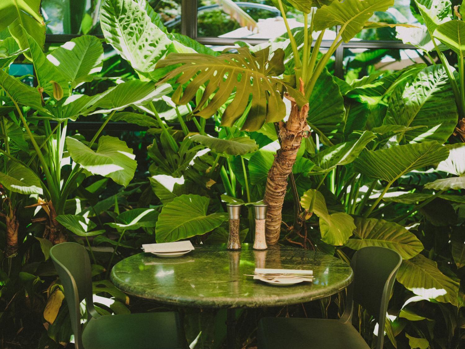 Hotel Eco Boutique Bidasoa Santiago Kültér fotó