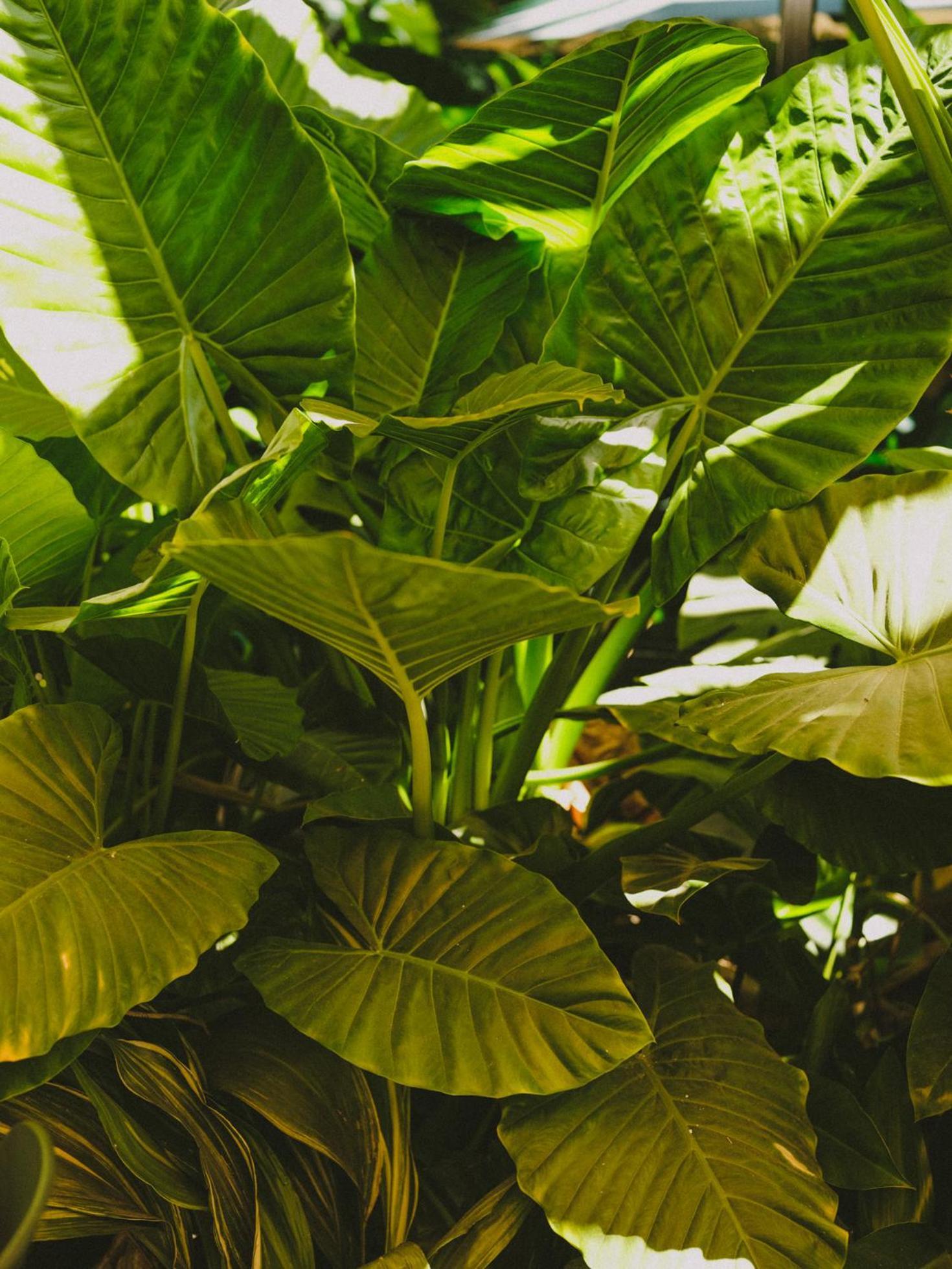 Hotel Eco Boutique Bidasoa Santiago Kültér fotó