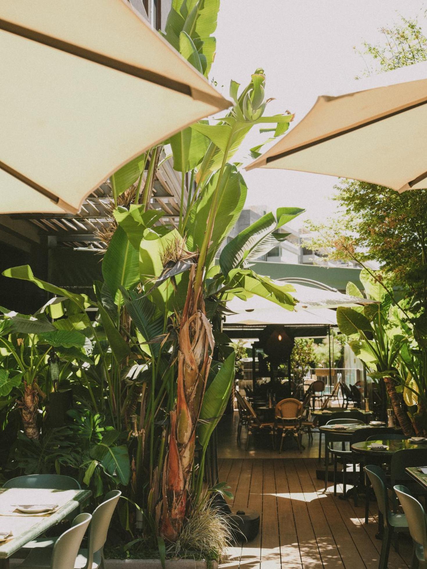 Hotel Eco Boutique Bidasoa Santiago Kültér fotó